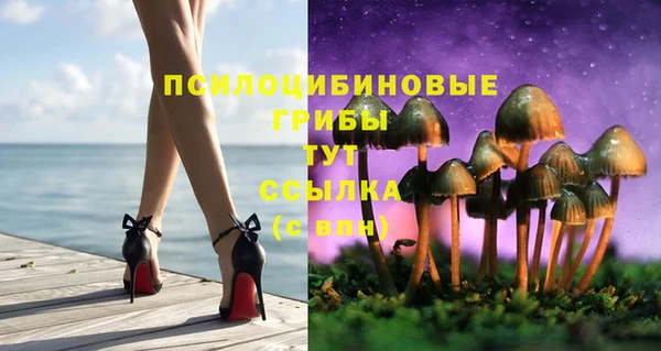 скорость Алзамай