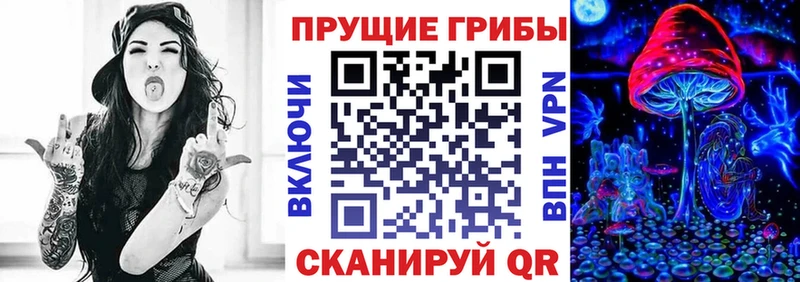 Псилоцибиновые грибы GOLDEN TEACHER  где продают наркотики  Заринск 